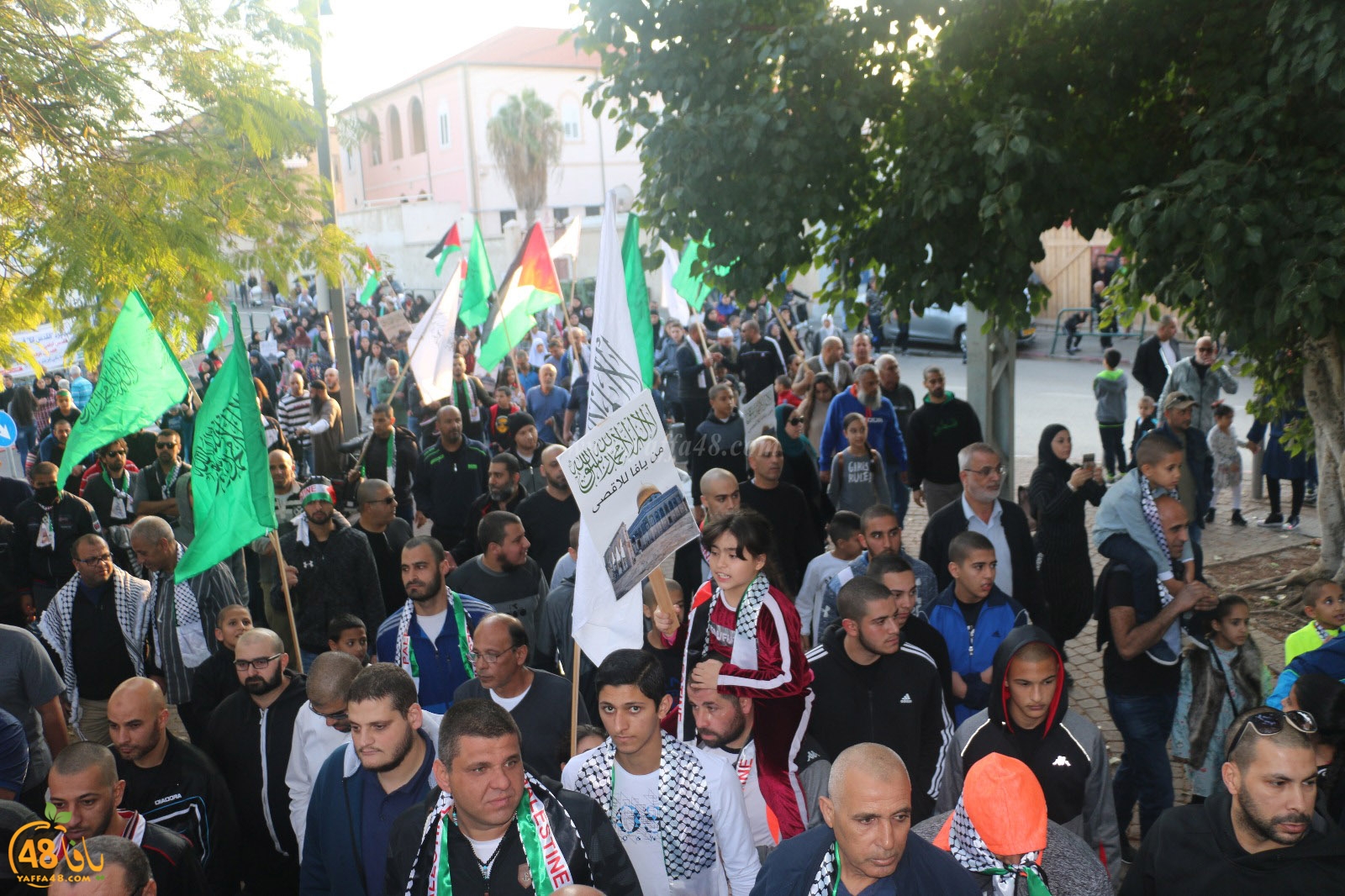 yaffa modahara jeq (41).jpg